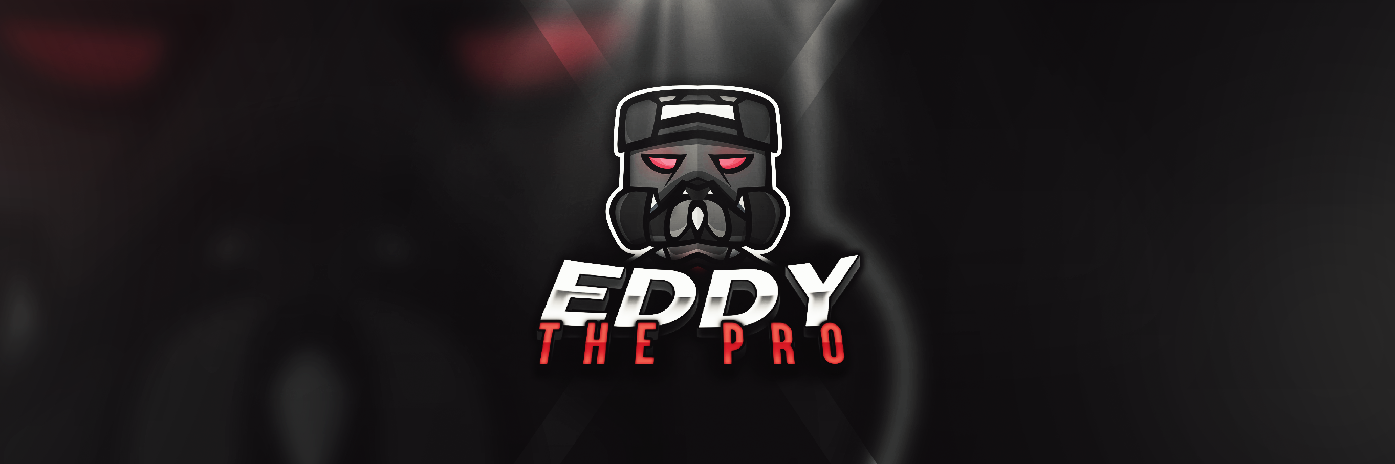 Eddythepro banner