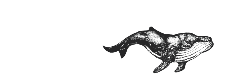 JordanJohnsonIN's profile banner image