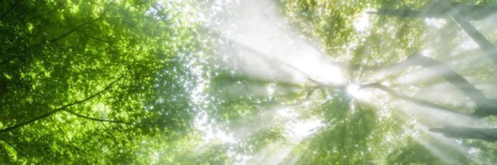 ayanok0uji's profile banner image
