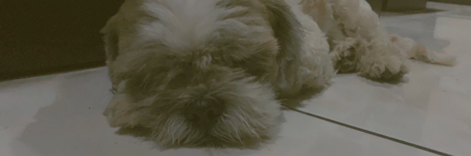 marlacaidic's profile banner image