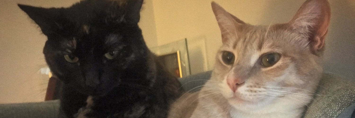mrnetop's profile banner image