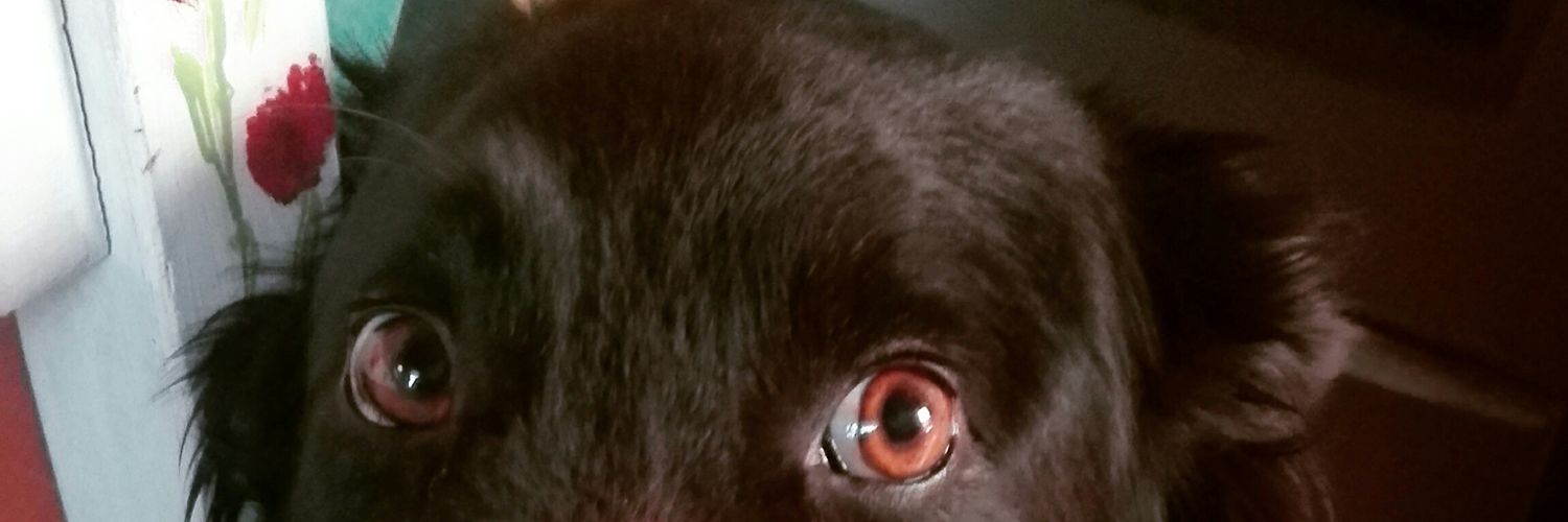 jfaundez's profile banner image
