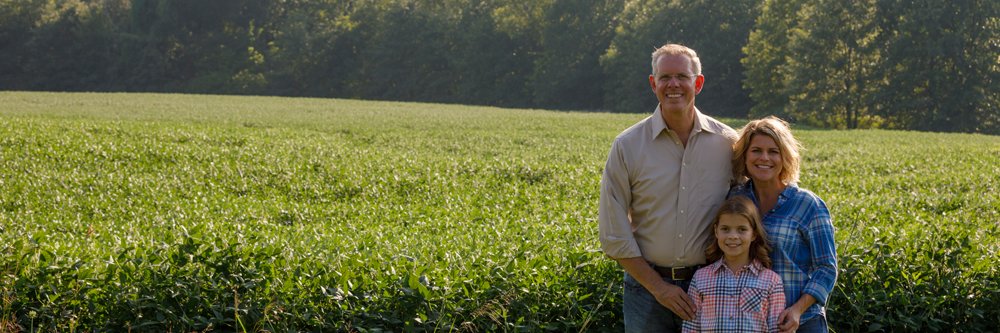Paul Davis banner