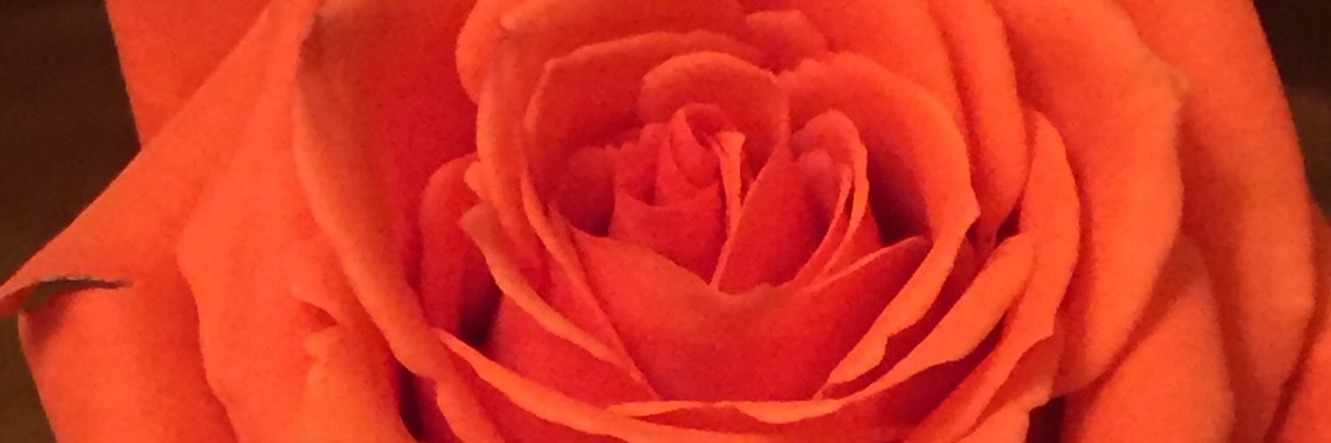 Ace_Ali_B's profile banner image