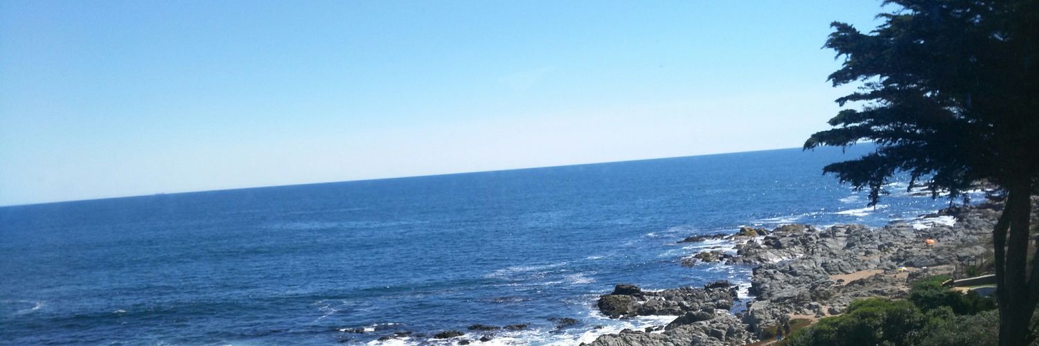 BeaPily's profile banner image