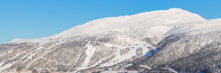 UlrikaViklund's profile banner image
