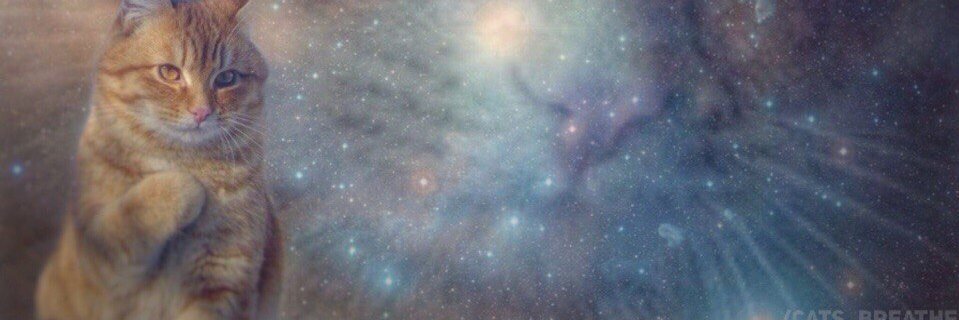 Анька Мудрая banner