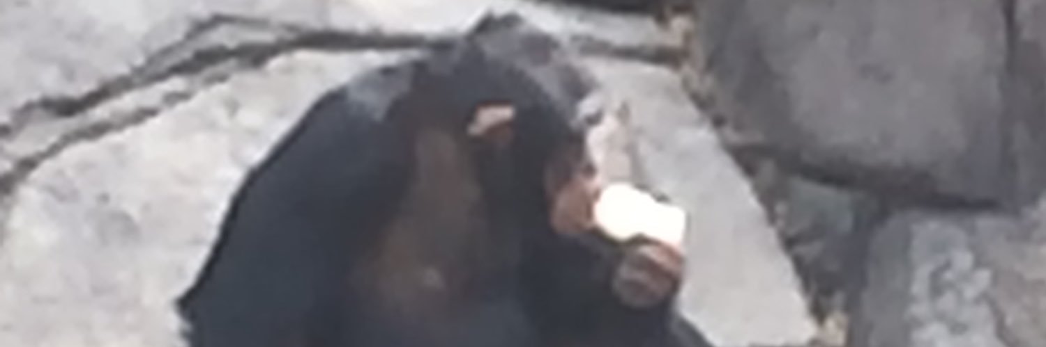 StevenFouts's profile banner image