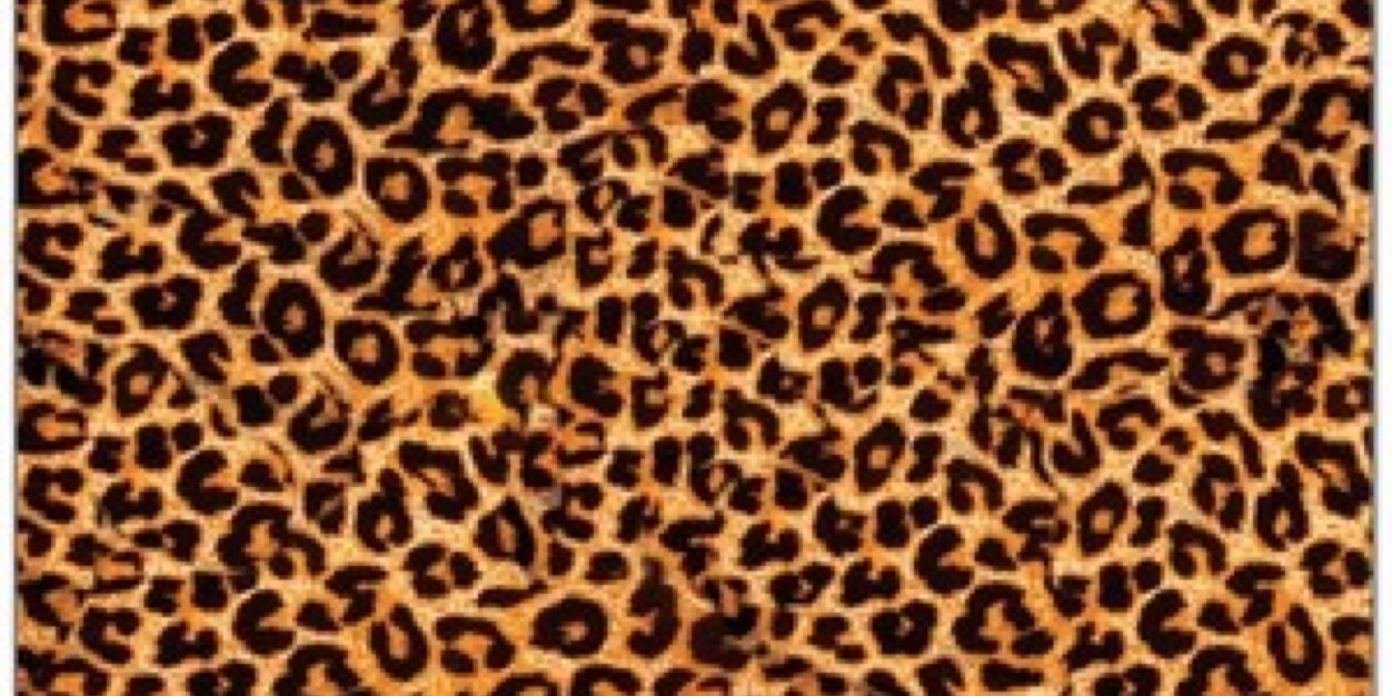 HaleyNull's profile banner image