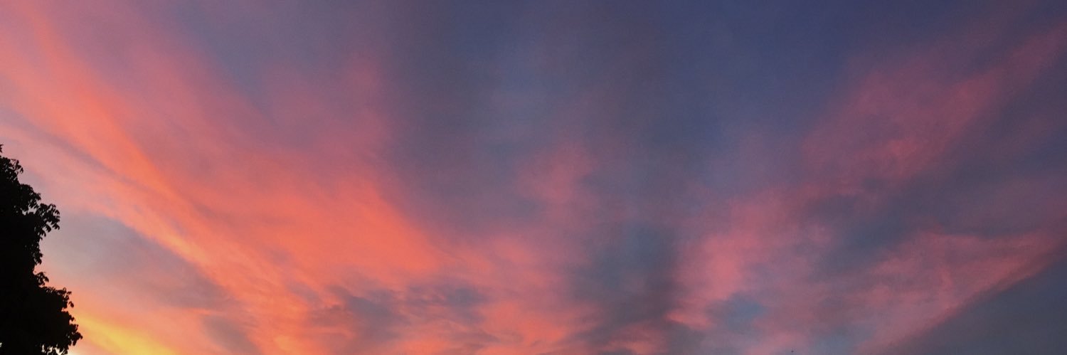 xSapsx's profile banner image