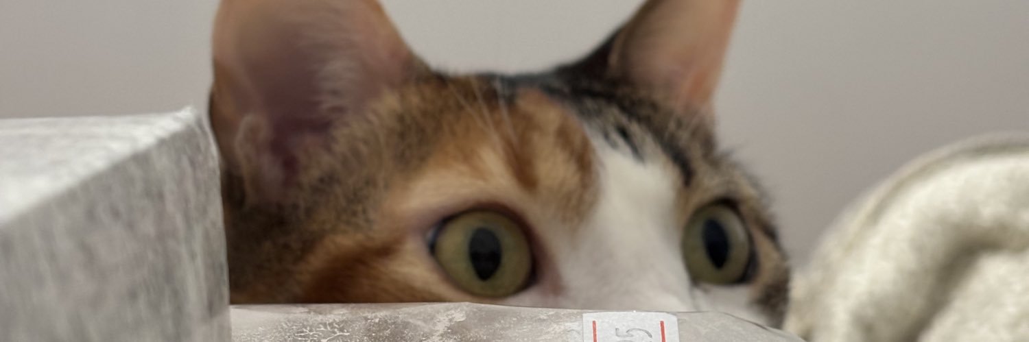 abbymnt92's profile banner image