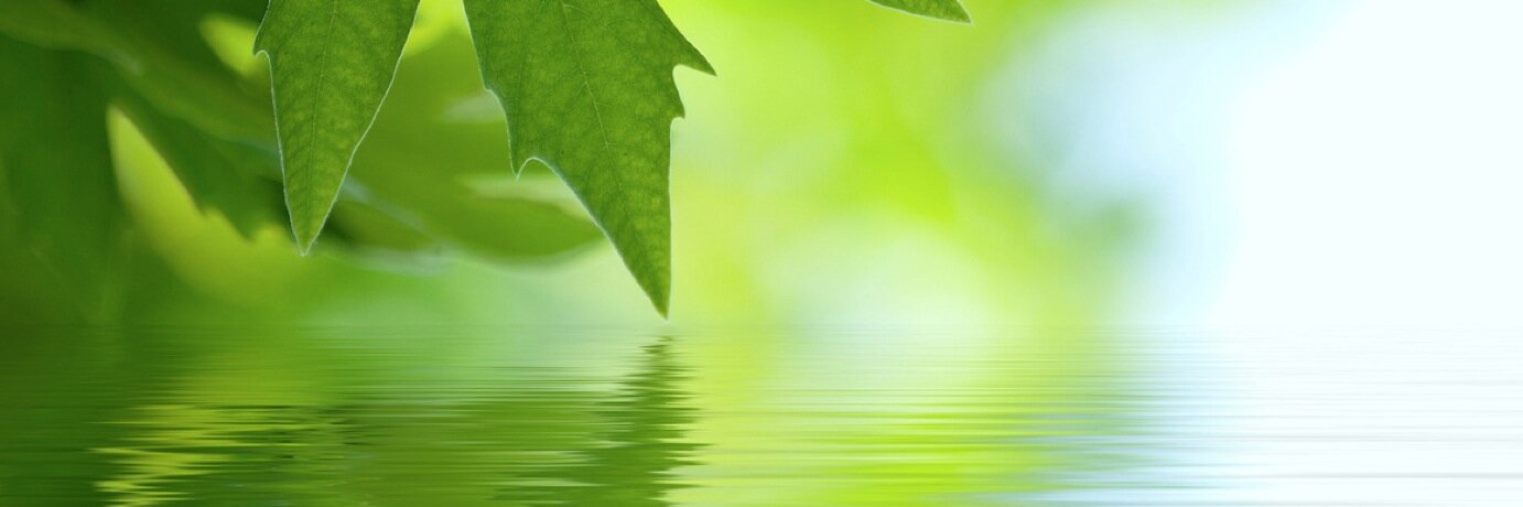 pENVIRONNEMENT's profile banner image