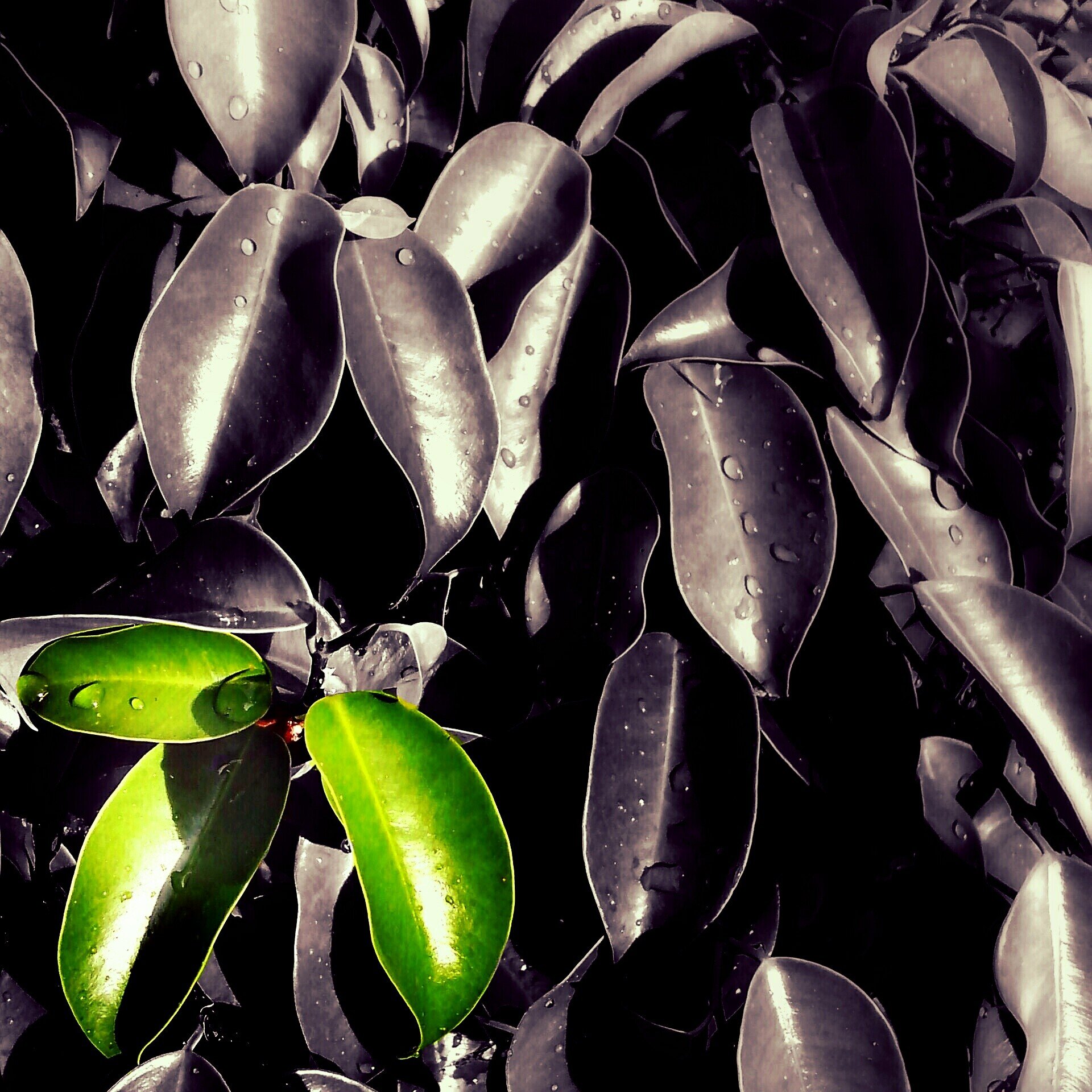 jrule's profile banner image