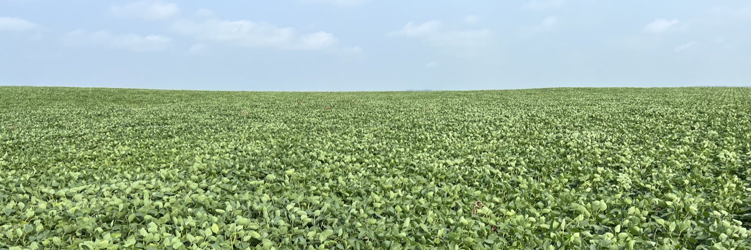YieldLeader's profile banner image