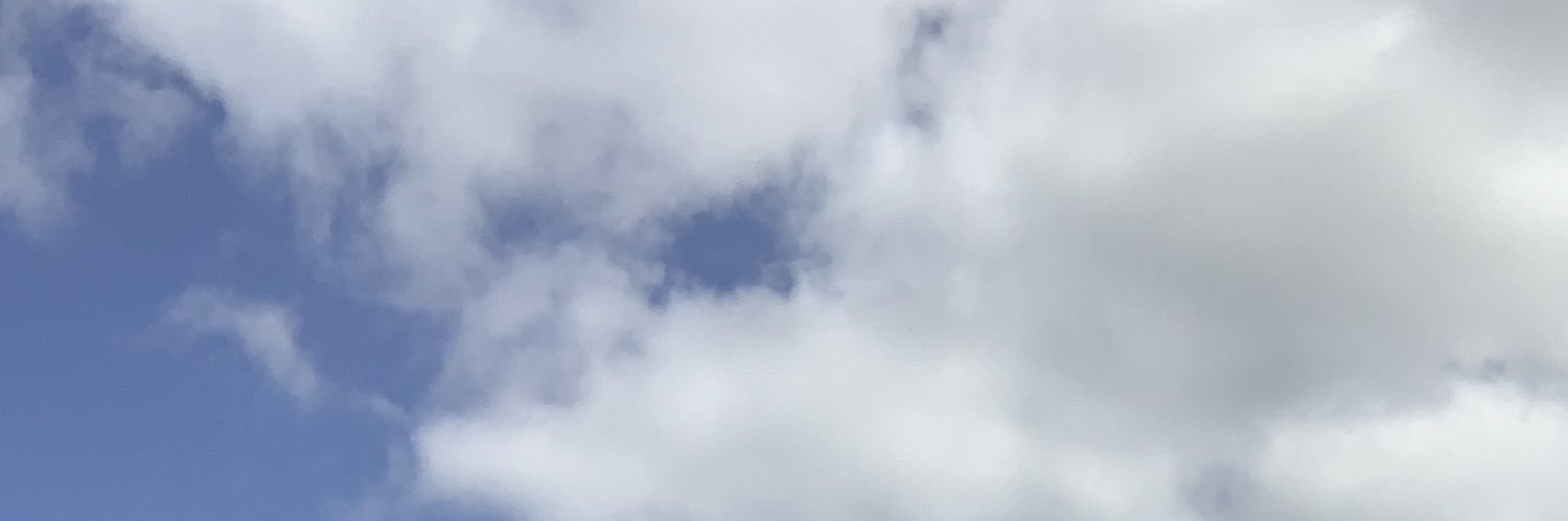 dan banner