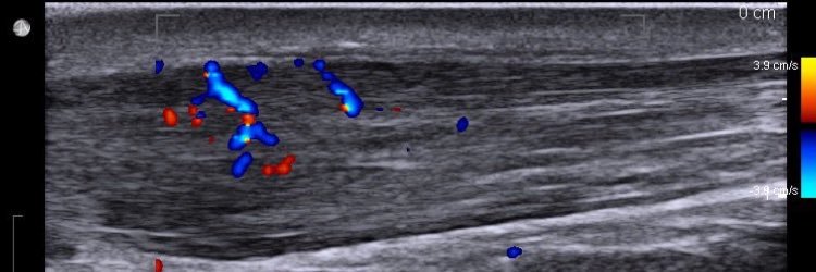 Christopher Raio banner