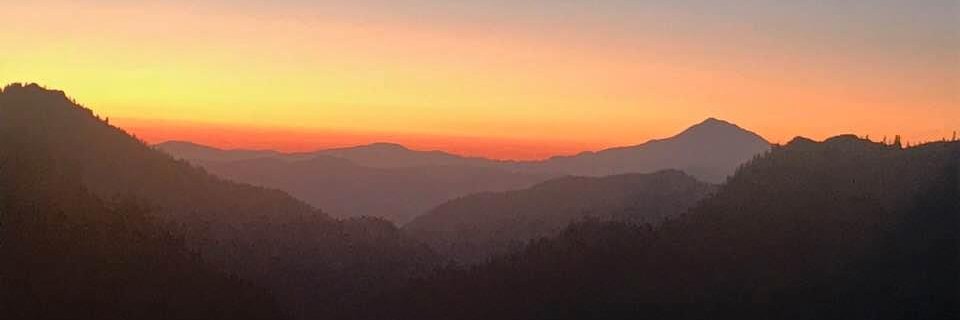 Marc DeSantis banner