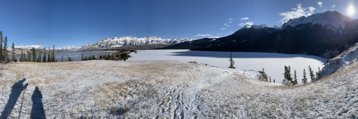 The White Mexican banner