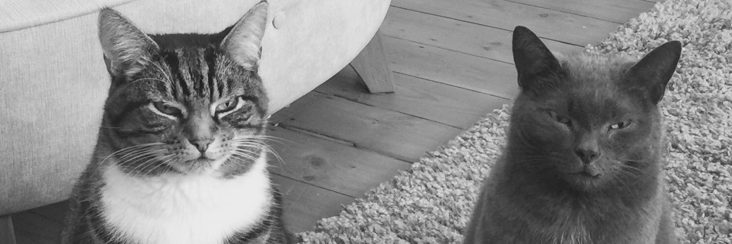 MsSparkles74's profile banner image