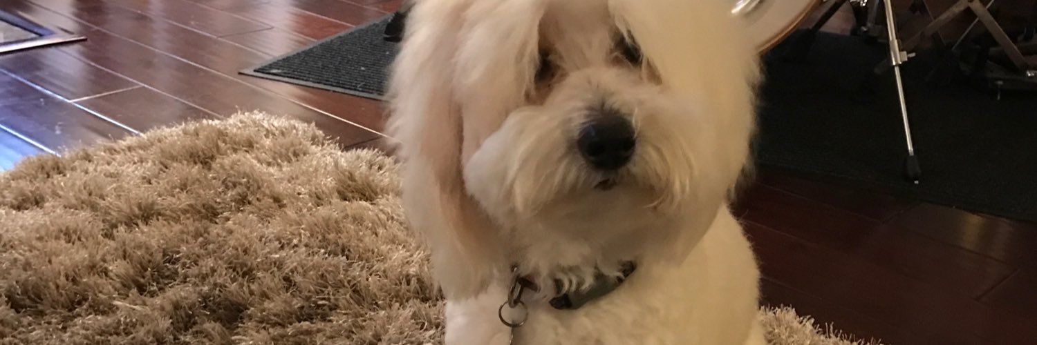 nkwong's profile banner image