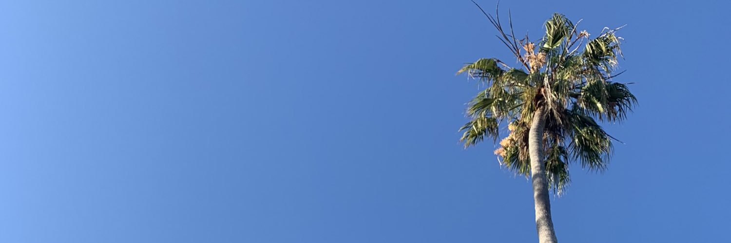 mrigden's profile banner image