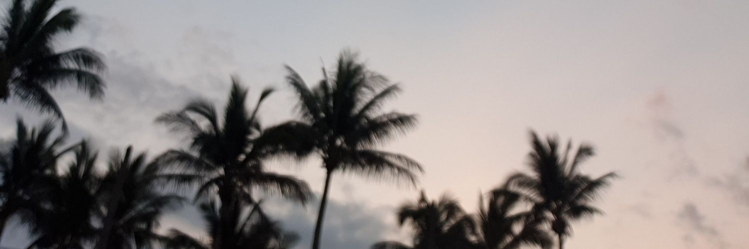 natlyocampo's profile banner image