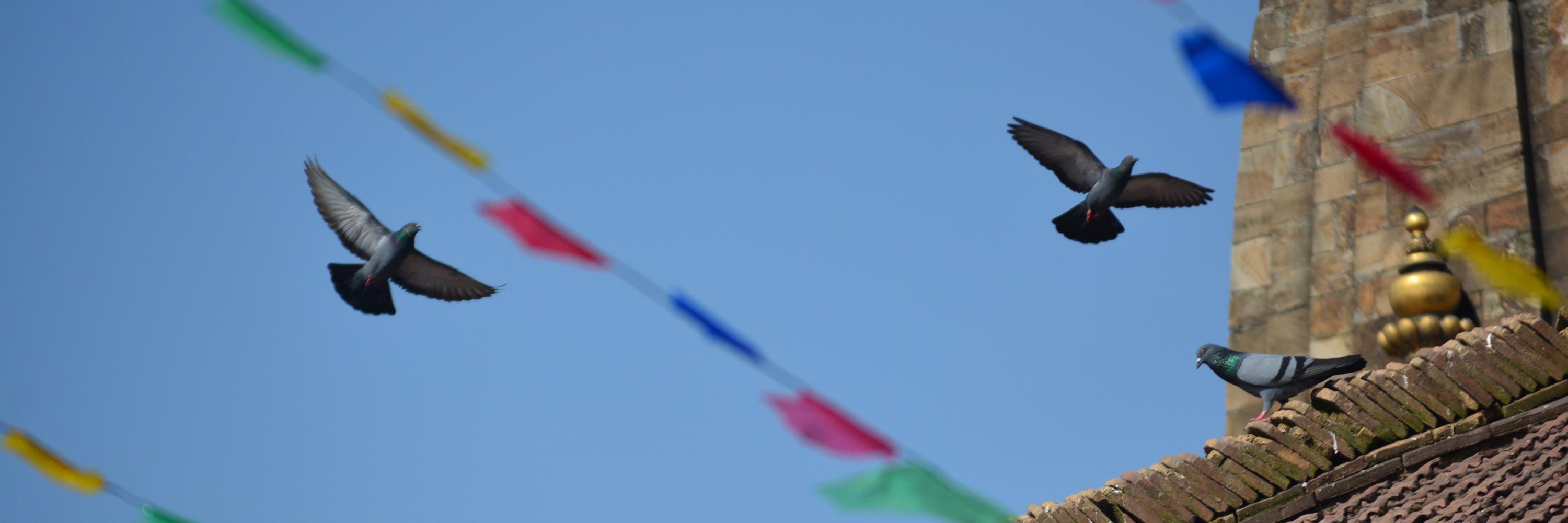 UpSwoti's profile banner image