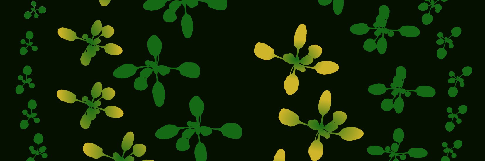 Plant Physiology's banner