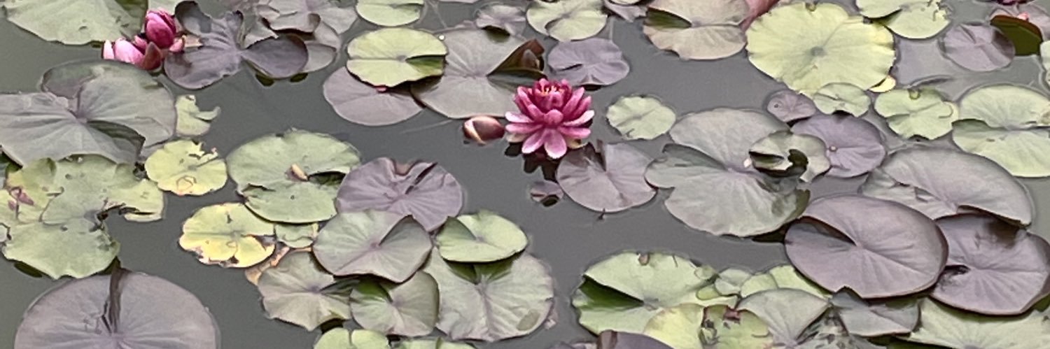 jessdefab's profile banner image
