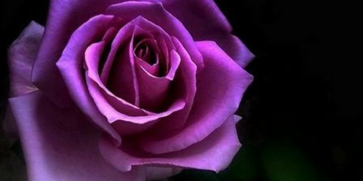abeer2626's profile banner image