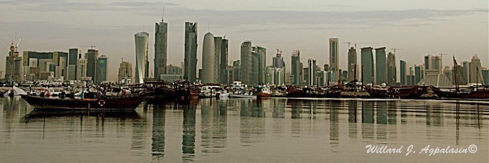 lardwil's profile banner image