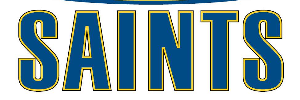 SHU Athletics banner