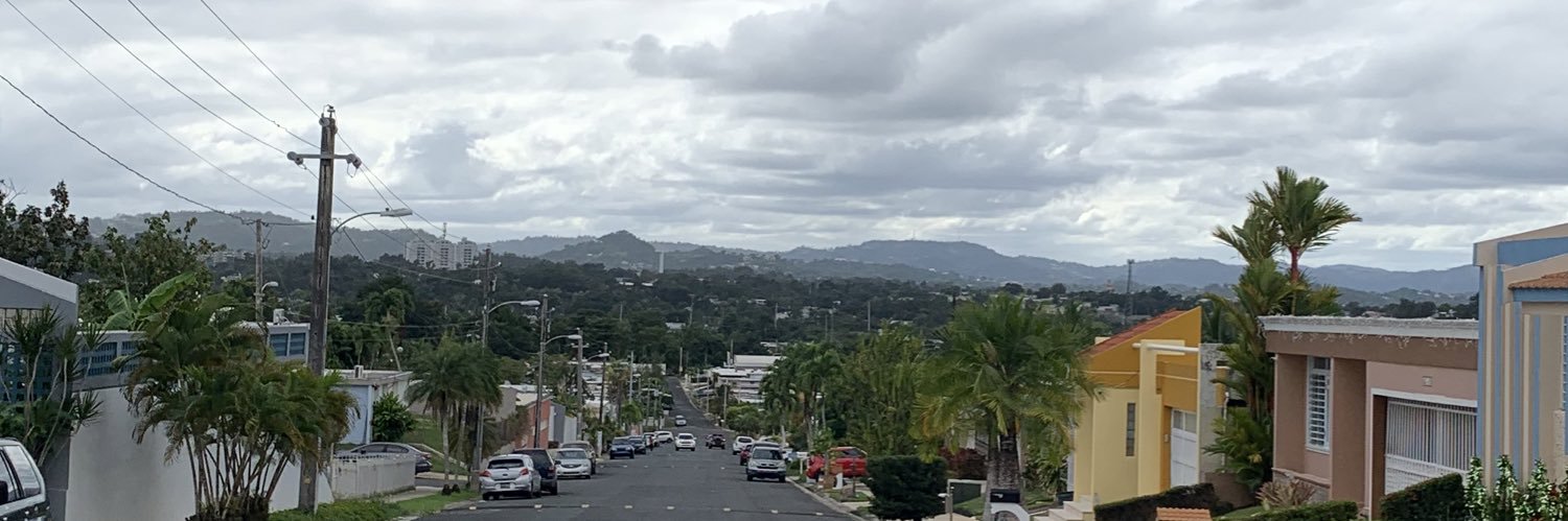 Zuri 🇵🇷 banner
