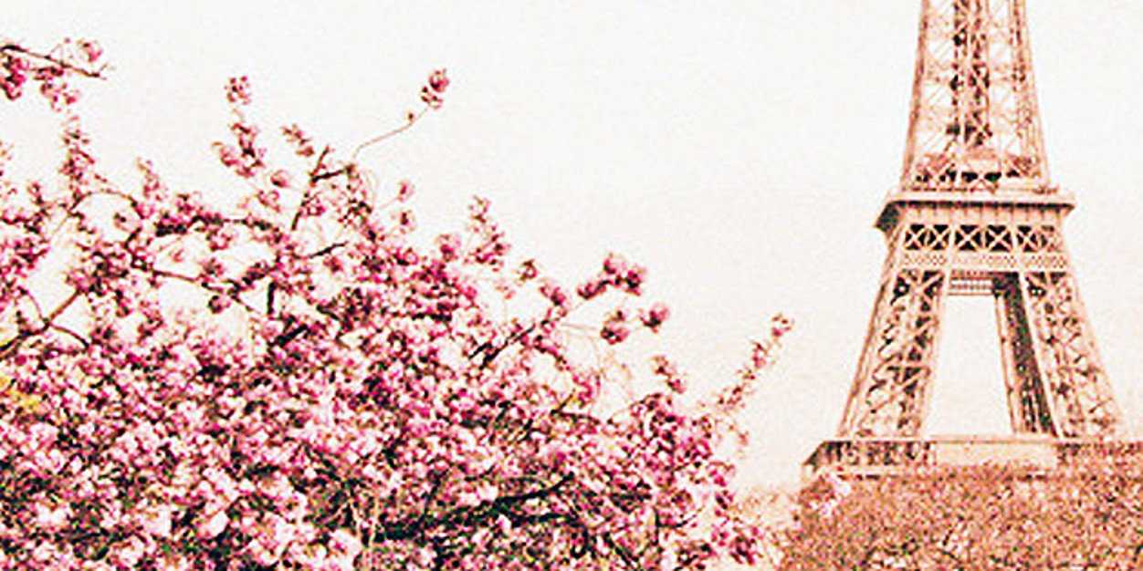Mariiah_jose's profile banner image