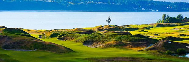 Kevin Johnson banner