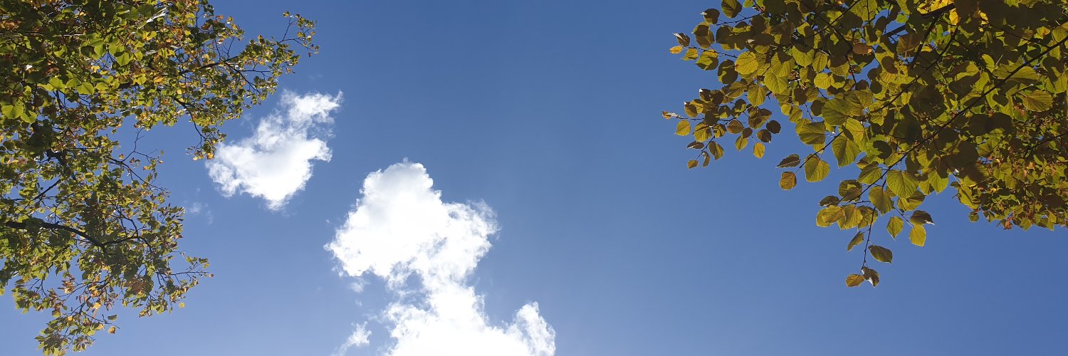 Wes Vervoort banner
