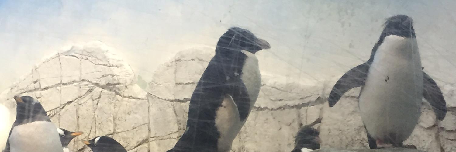 GraceRea1's profile banner image