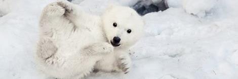 Sugarbear710's profile banner image