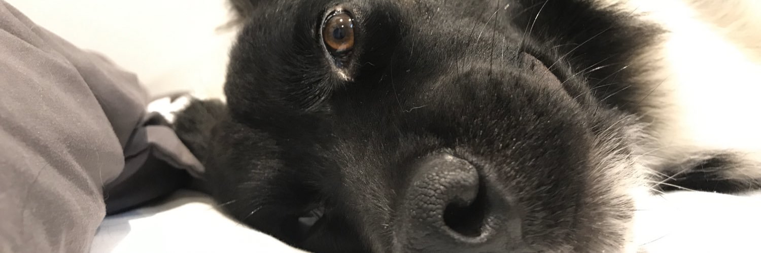 GualyMaria's profile banner image