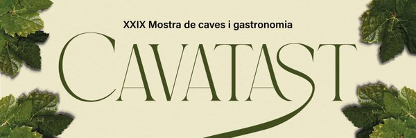 cavatast Profile Banner