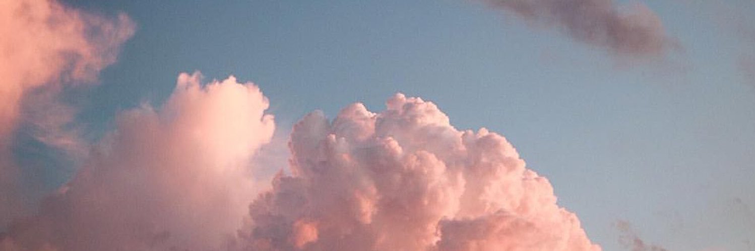 lyn 🌻 banner