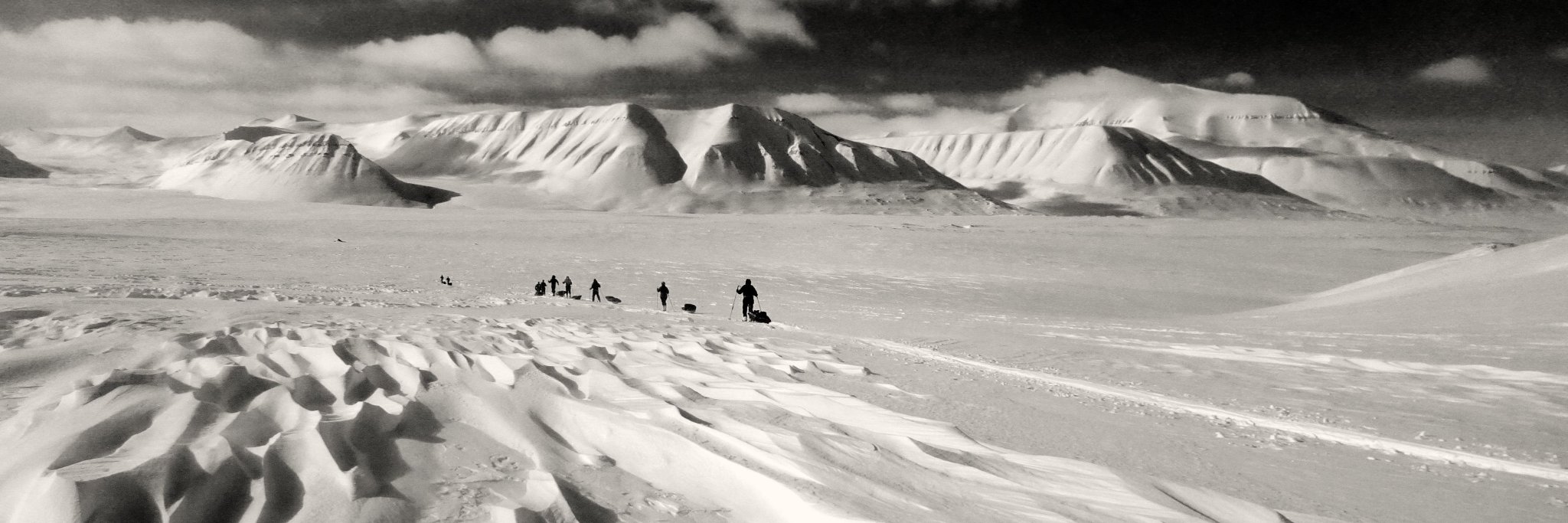 Kate Retallick banner