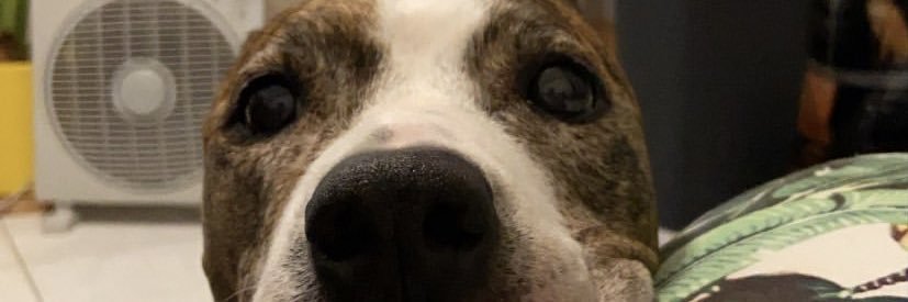 maitecps's profile banner image