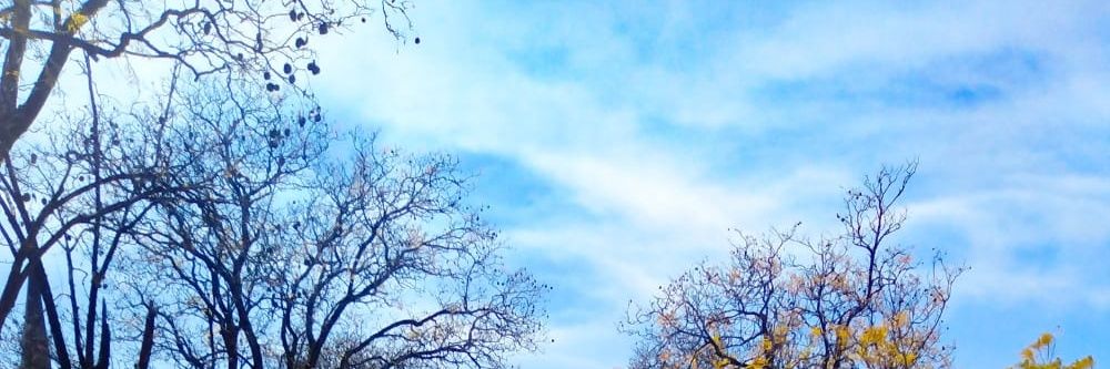 Mdiseh's profile banner image
