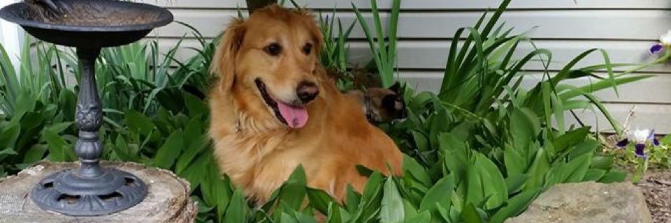 craigAddis19's profile banner image