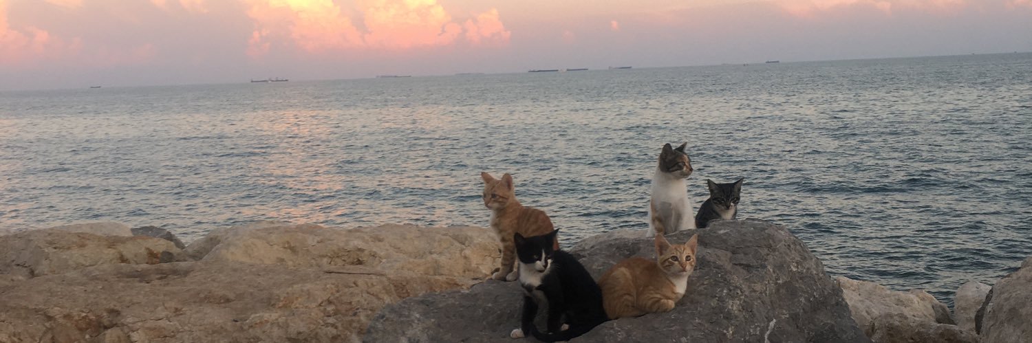 xencerizm's profile banner image