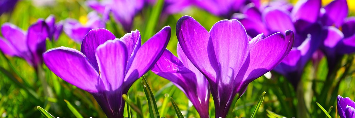 leener63's profile banner image