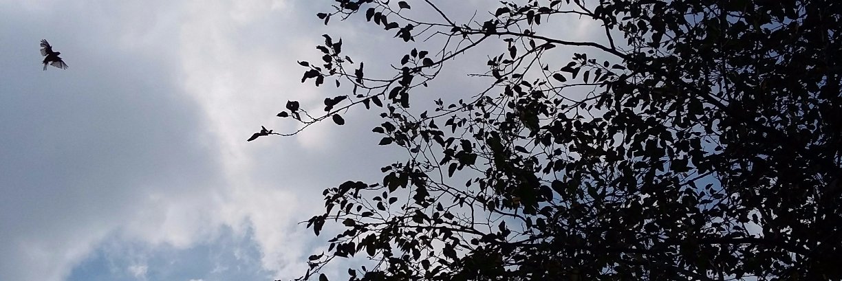 NohaElmaged's profile banner image