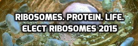 RIbosomes2015's profile banner image