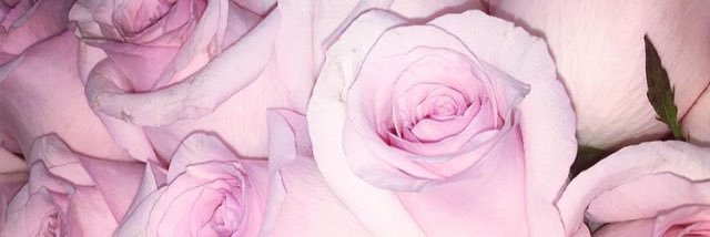 Katie_Monaghan2's profile banner image